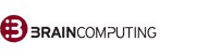 Brain Computing